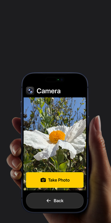 Egy iPhone 17 Pro képernyőjén a Kamera app egyszerűsített felülete jelenik meg, középen egy fehér virággal, „Fotó készítése” és alatta „Vissza” gombokkal